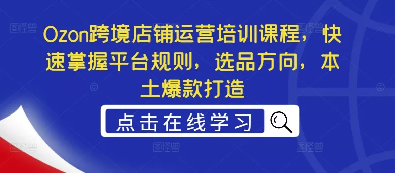 Ozon跨境店铺运营培训课程，快速掌握平台规则，选品方向，本土爆款打造-山河网创