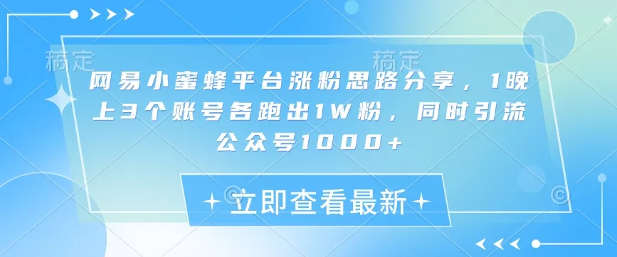 网易小蜜蜂平台涨粉思路分享，1晚上3个账号各跑出1W粉，同时引流公众号1000+-山河网创