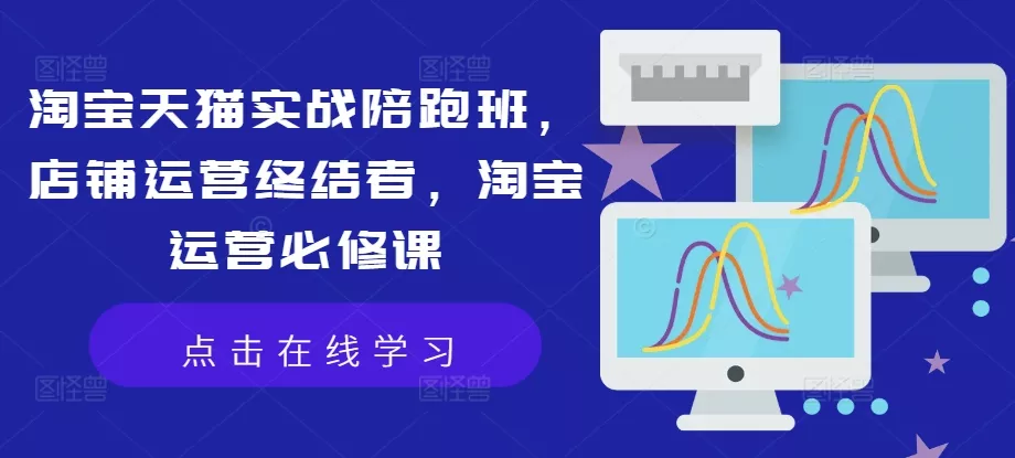 淘宝天猫实战陪跑班，店铺运营终结者，淘宝运营必修课-山河网创