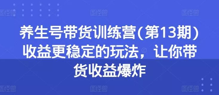 养生号带货训练营(第13期)收益更稳定的玩法，让你带货收益爆炸-山河网创