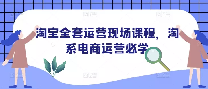 淘宝全套运营现场课程，淘系电商运营必学-山河网创