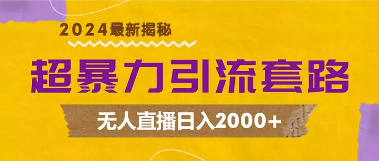 超暴力引流套路，无人直播日入2000+-山河网创