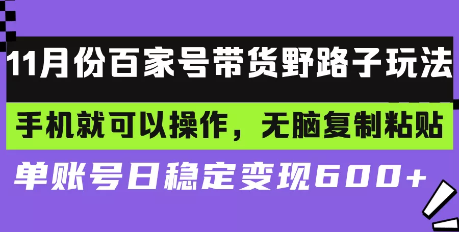百家号带货野路子玩法 手机就可以操作，无脑复制粘贴 单账号日稳定变现…-山河网创
