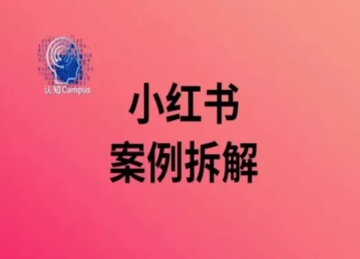 小红书案例拆解，深度解读小红书40万粉-山河网创