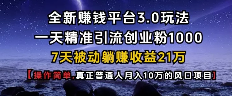 全新赚钱平台3.0玩法一天精准引流创业粉1000.7天被动躺Z收益21W【仅揭秘】-山河网创