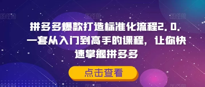 拼多多爆款打造标准化流程2.0，一套从入门到高手的课程，让你快速掌握拼多多-山河网创