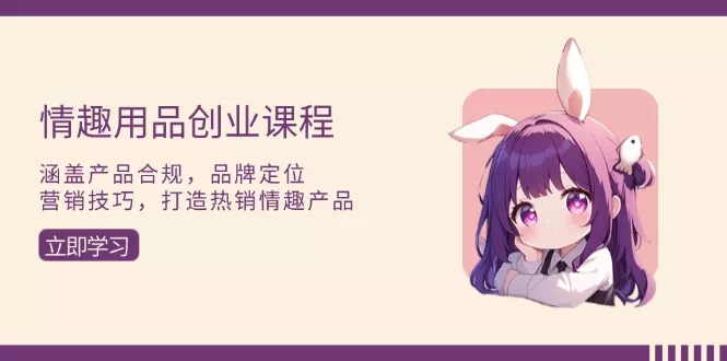 情趣用品创业课程：涵盖产品合规，品牌定位，营销技巧，打造热销情趣产品-山河网创