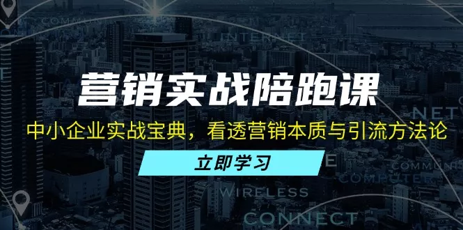 营销实战陪跑课：中小企业实战宝典，看透营销本质与引流方法论-山河网创