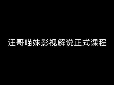 汪哥影视解说正式课程：剪映/PR教学/视解说剪辑5大黄金法则/全流程剪辑7把利器等等-山河网创