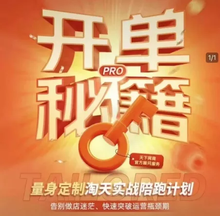 淘宝开单秘籍PRO，量身定制淘天实战陪跑计划，告别做店迷茫、快速突破运营瓶颈期-山河网创