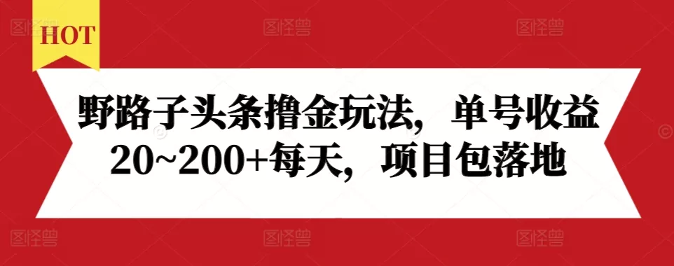 野路子头条撸金玩法，单号收益20~200+每天，项目包落地-山河网创