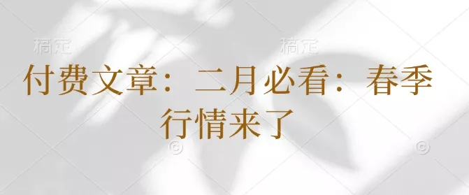付费文章：二月必看：春季行情来了-山河网创