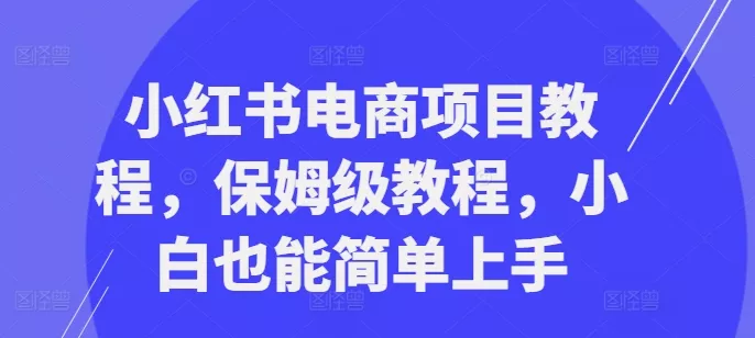 小红书电商项目教程，保姆级教程，小白也能简单上手-山河网创