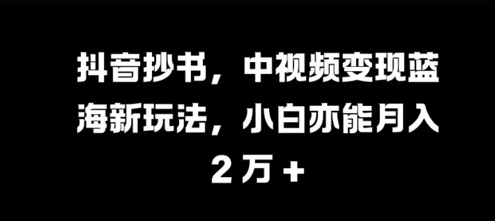 抖音抄书，中视频变现蓝海新玩法，小白亦能月入 过W【揭秘】-山河网创