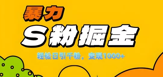 单人单机日引千粉，变现1k+，S粉流量掘金计划攻略【揭秘】-山河网创