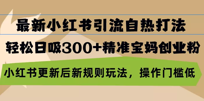 最新小红书引流自热打法，轻松日吸300+精准宝妈创业粉，小红书更新后新…-山河网创