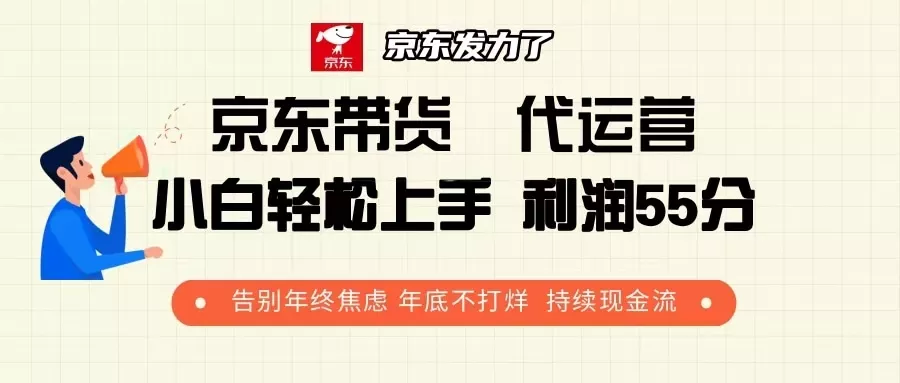 京东带货 代运营 利润55分 告别年终焦虑 年底不打烊 持续现金流-山河网创