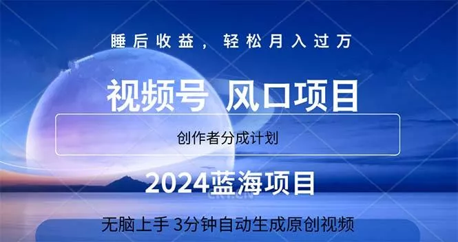2024蓝海项目，3分钟自动生成视频，月入过万-山河网创