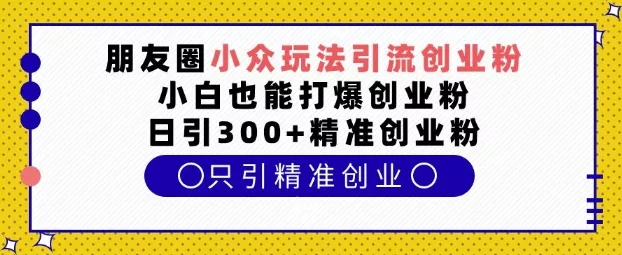 朋友圈小众玩法引流创业粉，小白也能打爆创业粉，日引300+精准创业粉【揭秘】-山河网创