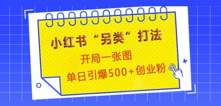 小红书“另类”打法，开局一张图，单日引爆500+精准创业粉【揭秘】-山河网创