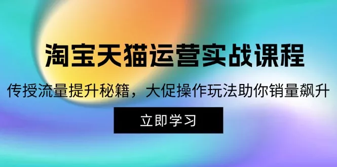 淘宝&天猫运营实战课程，传授流量提升秘籍，大促操作玩法助你销量飙升-山河网创