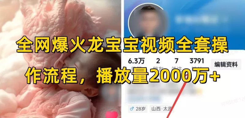 全网爆火龙宝宝视频全套操作流程，播放量2000万+-山河网创