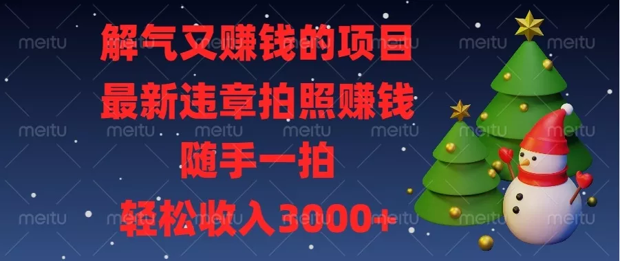 解气又赚钱的项目，最新违章拍照赚钱，随手一拍，轻松收入3000+-山河网创