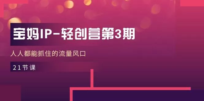 宝妈IP-轻创营第3期，人人都能抓住的流量风口(21节课-山河网创