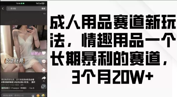 成人用品赛道新玩法，情趣用品一个长期暴利的赛道，3个月收益20个【揭秘】-山河网创