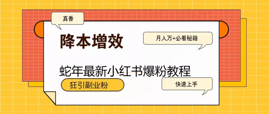 蛇年最新小红书爆粉教程，狂引副业粉，月入万+必看-山河网创