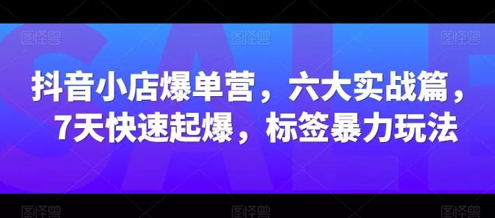抖音小店爆单营，六大实战篇，7天快速起爆，标签暴力玩法-山河网创