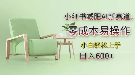 小红书减肥AI新赛道，零成本易操作，日入多张，小白轻松上手【揭秘】-山河网创