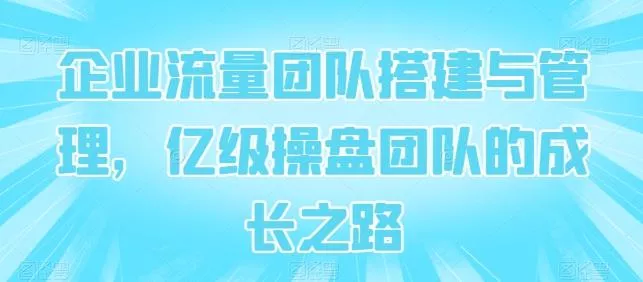 企业流量团队搭建与管理，亿级操盘团队的成长之路-山河网创