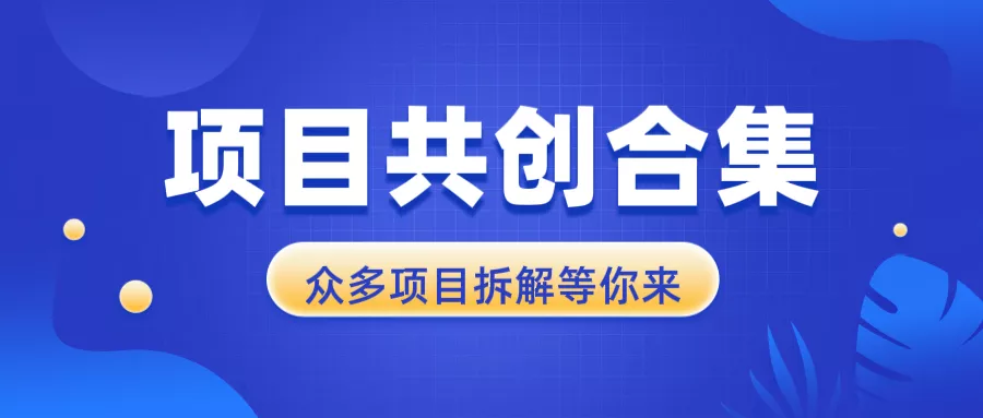 项目共创合集，从0-1全过程拆解，让你迅速找到适合自已的项目-山河网创