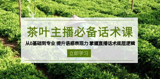 茶叶 主播必备话术课 从0基础到专业 提升语感表现力 掌握直播话术底层逻辑-山河网创