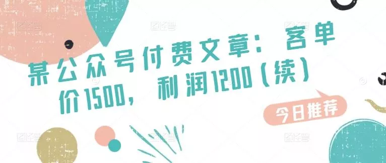 某公众号付费文章：客单价1500，利润1200(续)，市场几乎可以说是空白的-山河网创