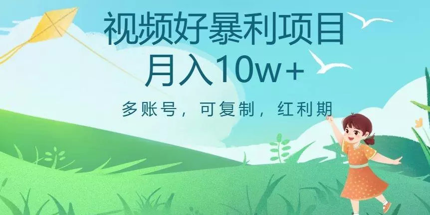 外边收费699项目，视频号暴利项目，多账号可复制，红利期-山河网创