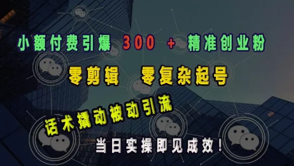 小额付费引爆 300 + 精准创业粉，零剪辑、零复杂起号，话术撬动被动引流，当日实操即见成效-山河网创