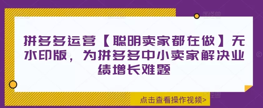 拼多多运营【聪明卖家都在做】无水印版，为拼多多中小卖家解决业绩增长难题-山河网创