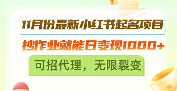 11月份最新小红书起名项目，抄作业就能日变现1000+，可招代理，无限裂变-山河网创