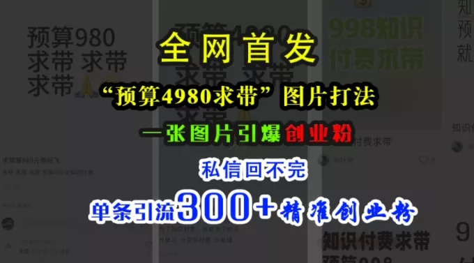 小红书“预算4980带我飞”图片打法，一张图片引爆创业粉，私信回不完，单条引流300+精准创业粉-山河网创