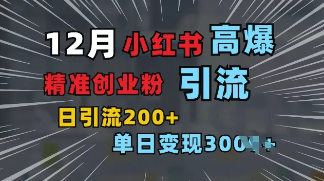 小红书一张图片“引爆”创业粉，单日+200+精准创业粉 可筛选付费意识创业粉【揭秘】-山河网创
