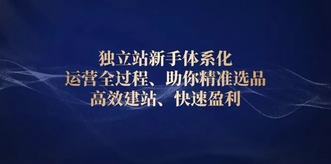 独立站新手体系化 运营全过程，助你精准选品、高效建站、快速盈利-山河网创