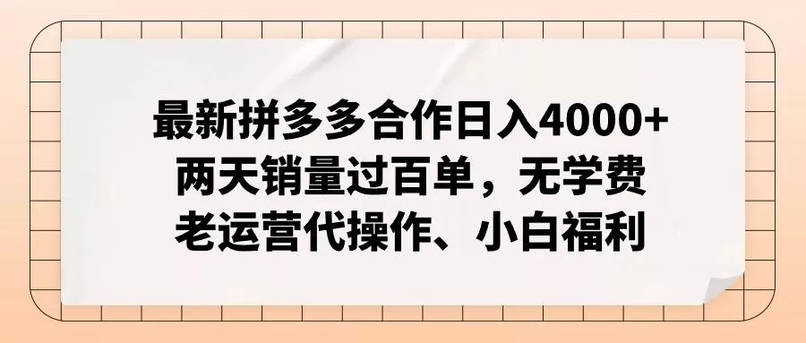 最新拼多多合作日入4000+两天销量过百单，无学费、老运营代操作、小白福利-山河网创