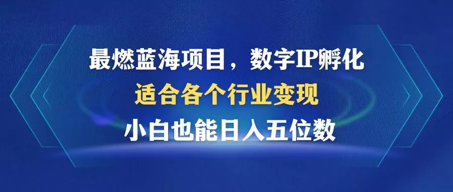 最燃蓝海项目  数字IP孵化  适合各个行业变现  小白也能日入5位数-山河网创