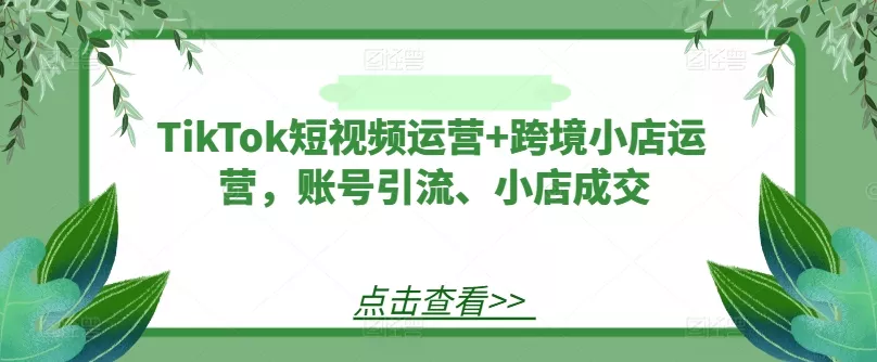 TikTok短视频运营+跨境小店运营，账号引流、小店成交-山河网创