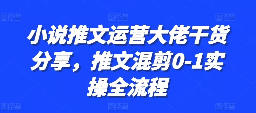 小说推文运营大佬干货分享，推文混剪0-1实操全流程-山河网创
