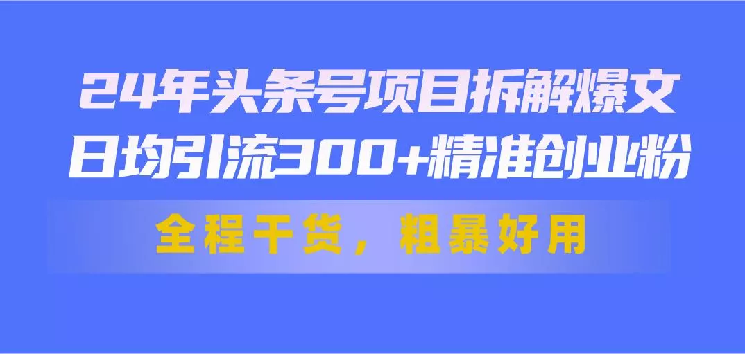 24年头条号项目拆解爆文，日均引流300+精准创业粉，全程干货，粗暴好用-山河网创