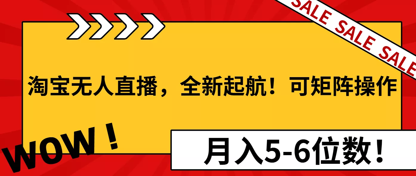 淘宝无人直播，全新起航！可矩阵操作，月入5-6位数！-山河网创
