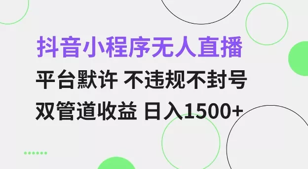 抖音小程序无人直播 平台默许 不违规不封号 双管道收益 日入多张 小白也能轻松操作【仅揭秘】-山河网创